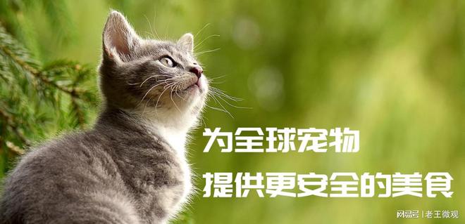 质与创新并重打造宠物食品行业新标杆不朽情缘游戏入口汉欧宠物食品厂：品(图3)
