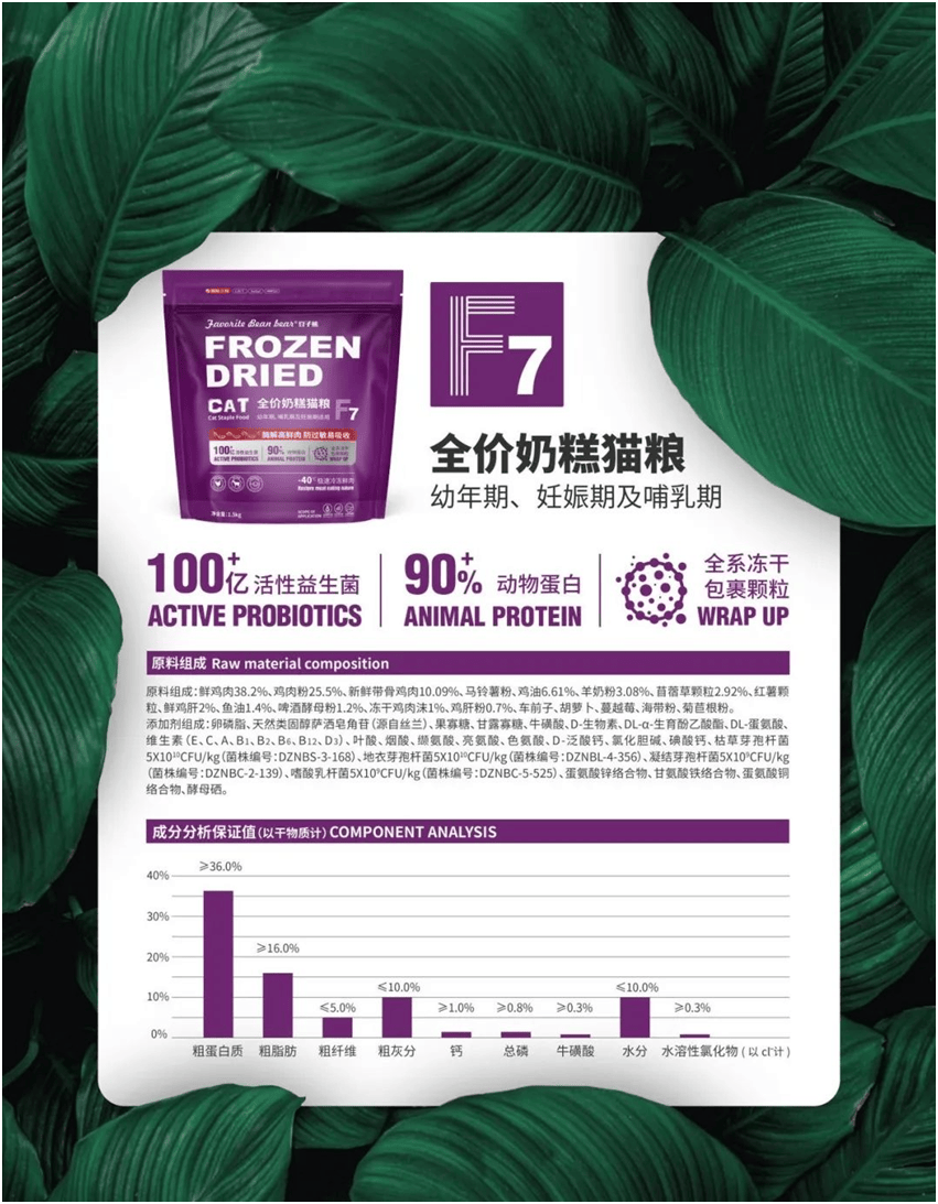 食品品牌上新不断上心永远不朽情缘网站豆子熊宠物