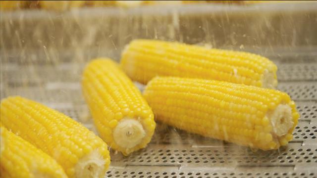 联名款产品打造跨界“新食尚”不朽情缘app十月稻田IP(图2) 联名款产品打造跨界“新食尚”不朽情缘app十月稻田IP(图2)