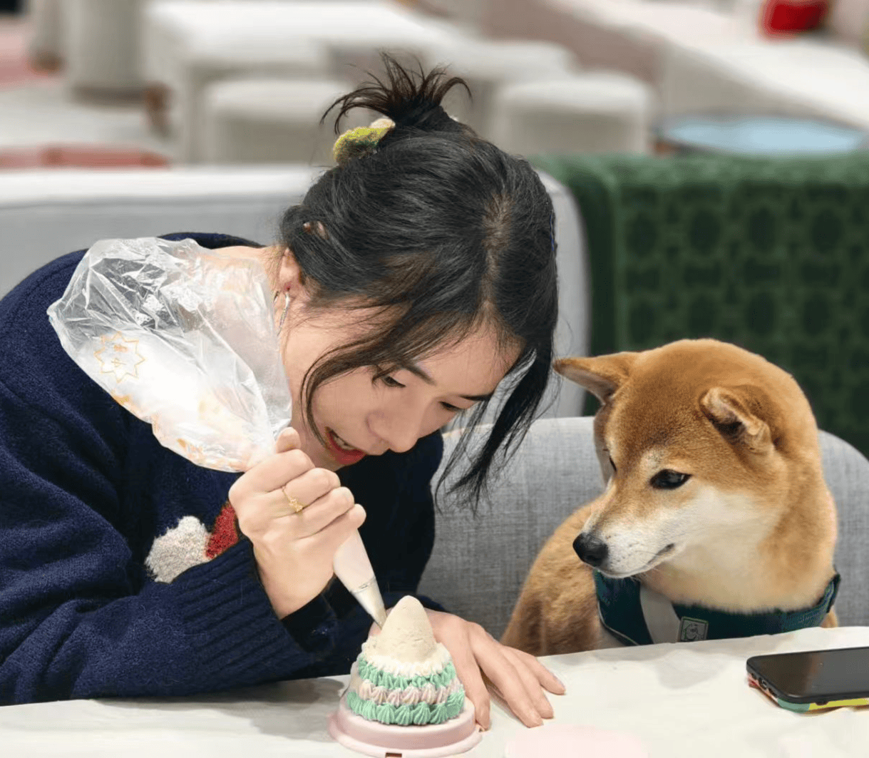 物月饼热销还可量身定制有商家一周内售出上千枚不朽情缘登录入口“毛孩子”也过中秋!成都宠(图4) 物月饼热销还可量身定制有商家一周内售出上千枚不朽情缘登录入口“毛孩子”也过中秋!成都宠(图4)